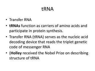 tRNA
• Transfer RNA
• tRNAs function as carriers of amino acids and
participate in protein synthesis.
• Transfer RNA (tRNA) serves as the nucleic acid
decoding device that reads the triplet genetic
code of messenger RNA
• (Holley received the Nobel Prize on describing
structure of tRNA
 