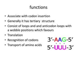 functions
• Associate with codon insertion
• Generally it has tertiary structure
• Consist of loops and and anticodon loops with
a wobble positions which favours
• Translation
• Recognition of codons
• Transport of amino acids
 
