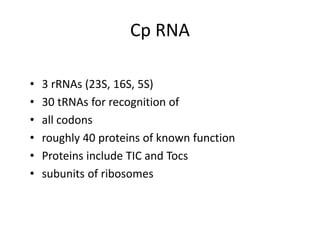 Cp RNA
• 3 rRNAs (23S, 16S, 5S)
• 30 tRNAs for recognition of
• all codons
• roughly 40 proteins of known function
• Proteins include TIC and Tocs
• subunits of ribosomes
 