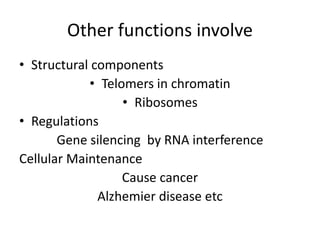 Other functions involve
• Structural components
• Telomers in chromatin
• Ribosomes
• Regulations
Gene silencing by RNA interference
Cellular Maintenance
Cause cancer
Alzhemier disease etc
 