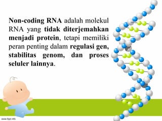 Non Coding RNA dan perannya dalm regulasi gen.ppt