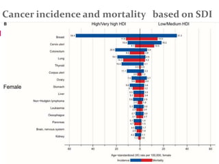 Cancer incidence and mortality based on SDI
46
 