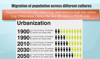 Migration from low risk culture (e.g. rural areas) to high risk culture
(e.g. Urban areas ) follow the new life style → ↑NCDs risk.
Migration of population across different cultures
 