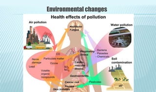 Environmental changes
 