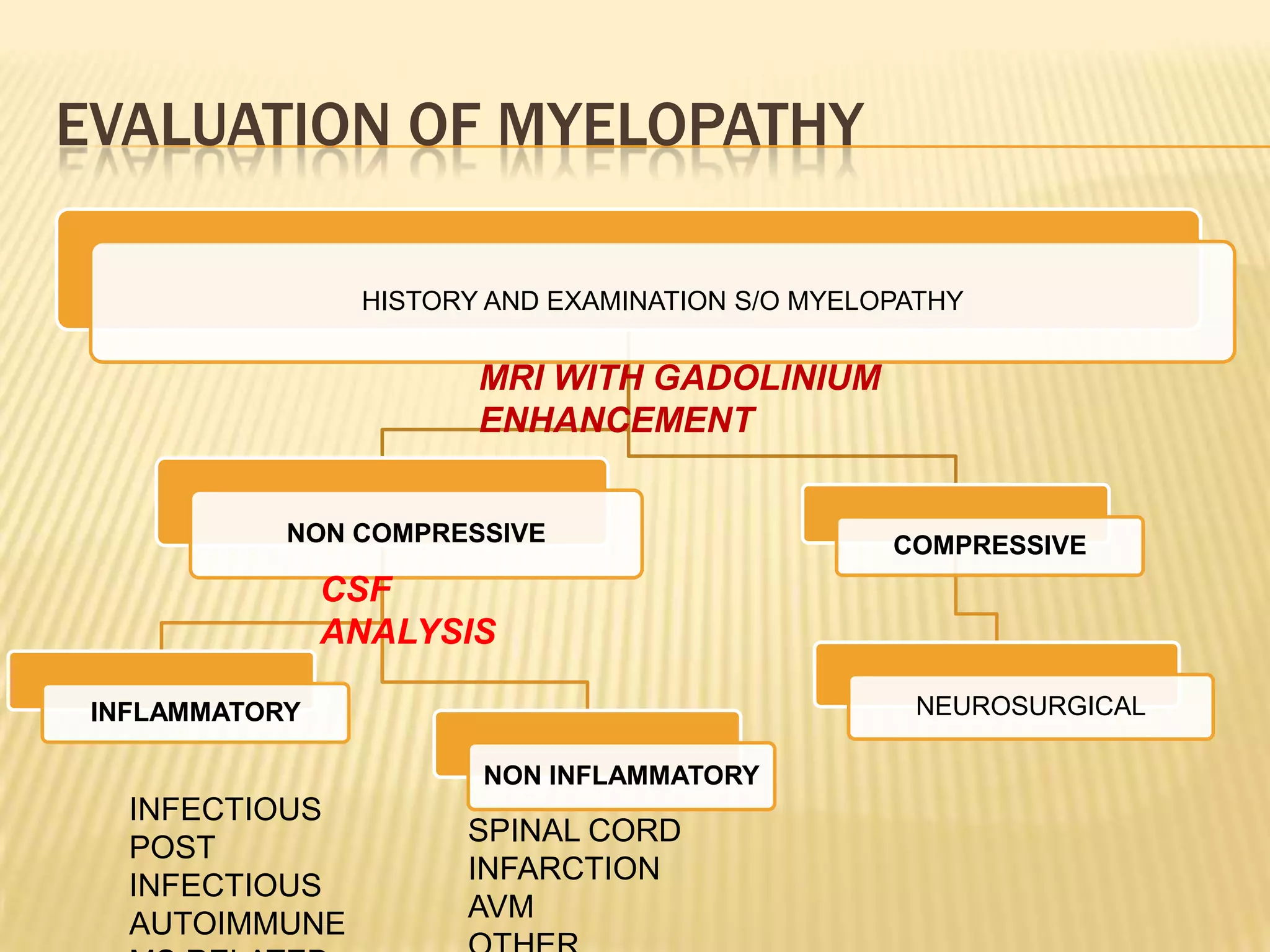 EVALUATION OF MYELOPATHY
HISTORY AND EXAMINATION S/O MYELOPATHY

MRI WITH GADOLINIUM
ENHANCEMENT
NON COMPRESSIVE

COMPRESSIVE

CSF
ANALYSIS
NEUROSURGICAL

INFLAMMATORY
NON INFLAMMATORY

INFECTIOUS
POST
INFECTIOUS
AUTOIMMUNE

SPINAL CORD
INFARCTION
AVM

 