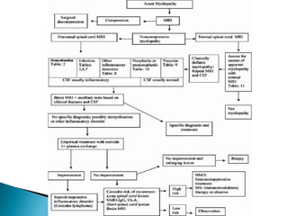 Non compressive myelopathy