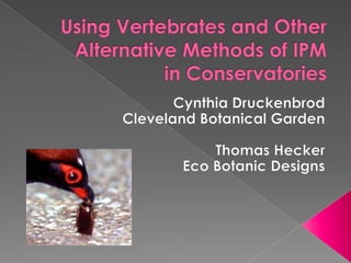 Using Vertebrates and Other Alternative Methods of IPMin Conservatories Cynthia Druckenbrod Cleveland Botanical Garden Thomas Hecker Eco Botanic Designs 