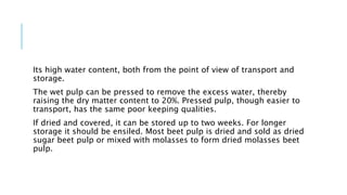 Its high water content, both from the point of view of transport and
storage.
The wet pulp can be pressed to remove the excess water, thereby
raising the dry matter content to 20%. Pressed pulp, though easier to
transport, has the same poor keeping qualities.
If dried and covered, it can be stored up to two weeks. For longer
storage it should be ensiled. Most beet pulp is dried and sold as dried
sugar beet pulp or mixed with molasses to form dried molasses beet
pulp.
 