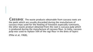 Cassava: The waste products obtainable from cassava roots are
the peels which are usually discarded during the manufacture of
cassava chips used for the feeding of livestock especially ruminants,
the other waste product obtained from the root is cassava pulp which
is produced during the manufacture of cassava flour. In India, cassava
pulp was used to replace 50% of the ragi flour in the diets of layers
(Pillai et al, 1968).
 