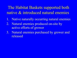 The Habitat Baskets supported both native & introduced natural enemies   Native naturally occurring natural enemies Natural enemies produced on-site by active efforts of grower Natural enemies purchased by grower and released 