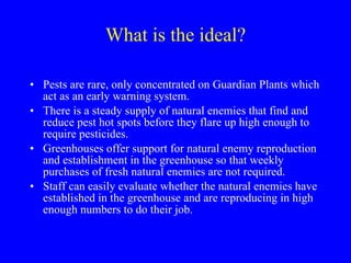 What is the ideal? Pests are rare, only concentrated on Guardian Plants which act as an early warning system.  There is a steady supply of natural enemies that find and reduce pest hot spots before they flare up high enough to require pesticides.  Greenhouses offer support for natural enemy reproduction and establishment in the greenhouse so that weekly purchases of fresh natural enemies are not required. Staff can easily evaluate whether the natural enemies have established in the greenhouse and are reproducing in high enough numbers to do their job. 
