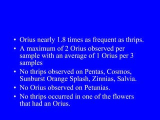 Orius nearly 1.8 times as frequent as thrips. A maximum of 2 Orius observed per sample with an average of 1 Orius per 3 samples No thrips observed on Pentas, Cosmos, Sunburst Orange Splash, Zinnias, Salvia. No Orius observed on Petunias. No thrips occurred in one of the flowers that had an Orius. 