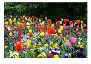 Non dago berdetxo arial