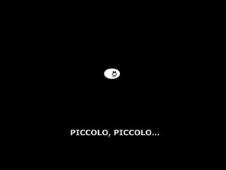 A.U.Saleem PICCOLO, PICCOLO… 