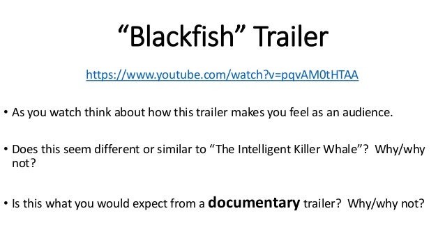 Watch Blackfish Youtube