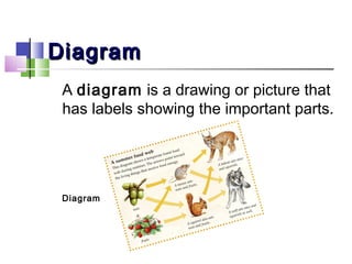 Nonfiction text features | PPT