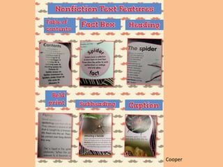 Nonfiction text features | PPTX