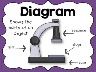 Diagram
Shows the
parts of an
object
CreatedBy:DeanaKahlenberg
eyepiece
stage
arm
base
 