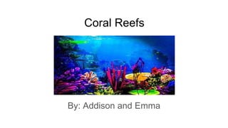 Coral Reefs
By: Addison and Emma
 