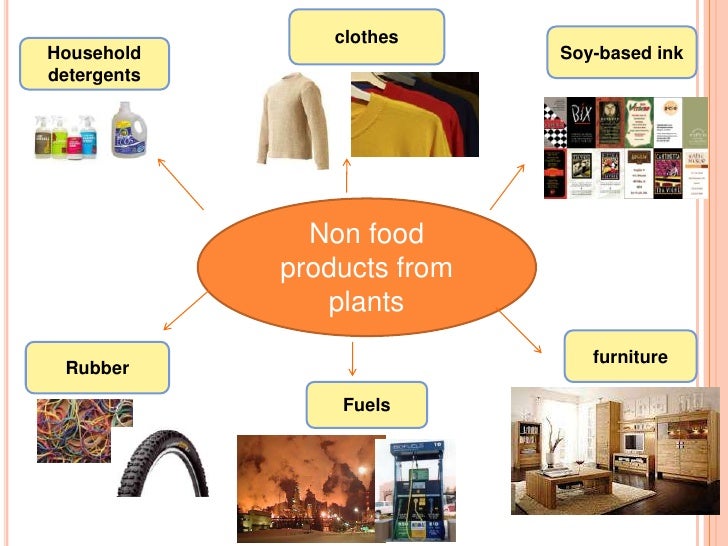 Best Natural Non Animal Products Best Natural Non Animal Products