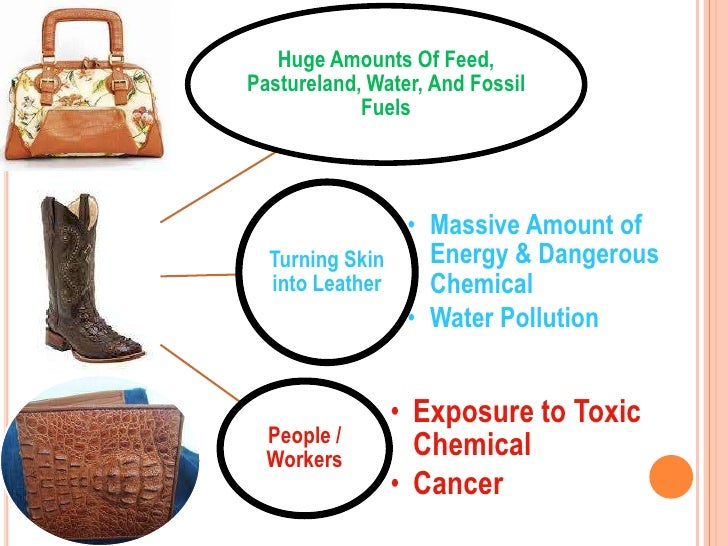 Non food products from plants