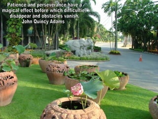 Patience and perseverance have a magical effect before which difficulties disappear and obstacles vanish. John Quincy Adams 