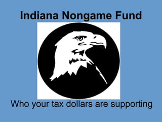 Indiana Nongame Fund Who your tax dollars are supporting 