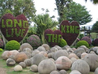 Nong nooch tropical garden