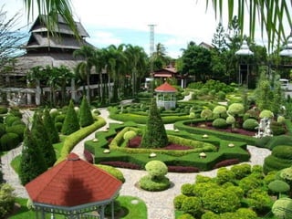Nong nooch tropical garden