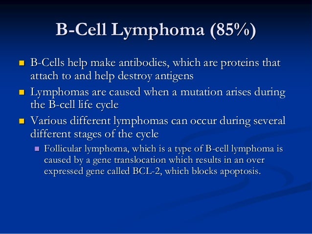 Non hodgkin lymphoma