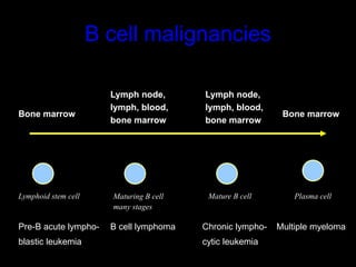 Non hodgkins lymphoma nandhu | PPTX