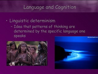 • Linguistic determinism
– Idea that patterns of thinking are
determined by the specific language one
speaks
Language and Cognition
 