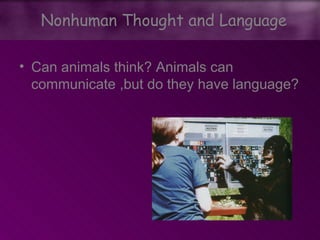 • Can animals think? Animals can
communicate ,but do they have language?
Nonhuman Thought and Language
 