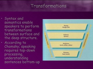 • Syntax and
semantics enable
speakers to perform
transformations
between surface and
the deep structure.
• According to
Chomsky; speaking
requires top-down
processing,
understanding
sentences bottom-up
Transformations
 
