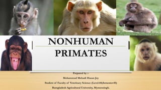 NONHUMAN
PRIMATES
Prepared by :-
Mohammad Mehadi Hasan Joy
Student of Faculty of Veterinary Science (Level-04;Semester-01)
Bamgladesh Agricultural University, Mymensingh.
 