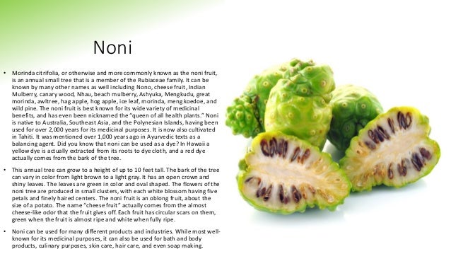 noni fruit skin care