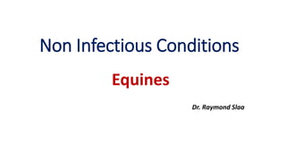 Non Infectious Conditions
Equines
Dr. Raymond Slaa
 