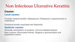 Non Infectious Ulcerative Keratitis
Causes:
Local causes:
Punctate marginal keratitis: Staphylococci, Streptococci, hypersensitivity to
medications
Peripheral keratitis associated with blepharitis:
Systemic causes:
Generally manifestation of systemic, immune-mediated disease
Most common: Rheumatoid arthritis, Wegener’s granulomatosis and
polyarteritis nodosa
 