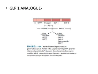 • GLP 1 ANALOGUE-
 