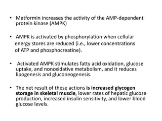 • Metformin increases the activity of the AMP-dependent
protein kinase (AMPK)
• AMPK is activated by phosphorylation when cellular
energy stores are reduced (i.e., lower concentrations
of ATP and phosphocreatine).
• Activated AMPK stimulates fatty acid oxidation, glucose
uptake, and nonoxidative metabolism, and it reduces
lipogenesis and gluconeogenesis.
• The net result of these actions is increased glycogen
storage in skeletal muscle, lower rates of hepatic glucose
production, increased insulin sensitivity, and lower blood
glucose levels.
 