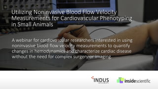 Utilizing Noninvasive Blood Flow Velocity
Measurements for Cardiovascular Phenotyping
in Small Animals
A webinar for cardiovascular researchers interested in using
noninvasive blood flow velocity measurements to quantify
changes in hemodynamics and characterize cardiac disease
without the need for complex surgery or imaging.
 