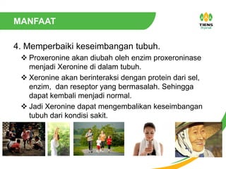 MANFAAT
4. Memperbaiki keseimbangan tubuh.
 Proxeronine akan diubah oleh enzim proxeroninase
menjadi Xeronine di dalam tubuh.
 Xeronine akan berinteraksi dengan protein dari sel,
enzim, dan reseptor yang bermasalah. Sehingga
dapat kembali menjadi normal.
 Jadi Xeronine dapat mengembalikan keseimbangan
tubuh dari kondisi sakit.
 