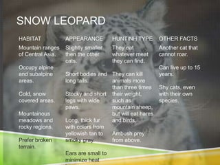 SNOW LEOPARD
HABITAT            APPEARANCE          HUNTINH TYPE      OTHER FACTS
Mountain ranges    Slightly smaller    They eat          Another cat that
of Central Asia.   then the other      whatever meat     cannot roar.
                   cats.               they can find.
Occupy alpine                                            Can live up to 15
and subalpine      Short bodies and They can kill        years.
areas.             long tails.      animals more
                                    than three times     Shy cats, even
Cold, snow         Stocky and short their weight,        with their own
covered areas.     legs with wide   such as              species.
                   paws.            mountain sheep,
Mountainous                         but will eat hares
meadows and        Long, thick fur  and birds.
rocky regions.     with colors from
                   yellowish tan to Ambush prey
Prefer broken      smoky gray.      from above.
terrain.
                   Ears are small to
                   minimize heat
 
