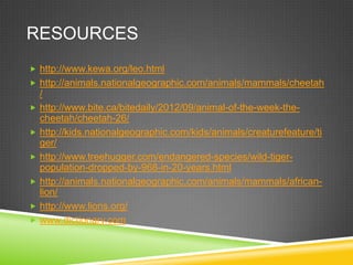 RESOURCES
 http://www.kewa.org/leo.html
 http://animals.nationalgeographic.com/animals/mammals/cheetah
    /
   http://www.bite.ca/bitedaily/2012/09/animal-of-the-week-the-
    cheetah/cheetah-26/
   http://kids.nationalgeographic.com/kids/animals/creaturefeature/ti
    ger/
   http://www.treehugger.com/endangered-species/wild-tiger-
    population-dropped-by-968-in-20-years.html
   http://animals.nationalgeographic.com/animals/mammals/african-
    lion/
   http://www.lions.org/
   www.dictionary.com
 