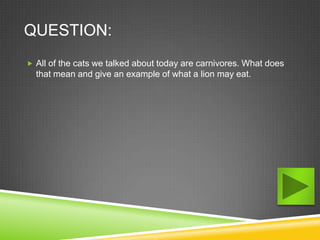 QUESTION:
 All of the cats we talked about today are carnivores. What does
  that mean and give an example of what a lion may eat.
 