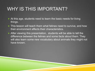 WHY IS THIS IMPORTANT?
 At this age, students need to learn the basic needs for living
  things.
 This lesson will teach them what felines need to survive, and how
  their environment affects their characteristics.
 After viewing this presentation, students will be able to tell the
  difference between the felines and some facts about them. They
  will also learn some new vocabulary about animals they might not
  have known.
 