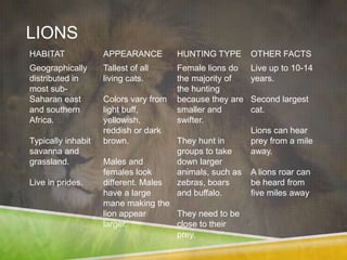 LIONS
HABITAT             APPEARANCE         HUNTING TYPE       OTHER FACTS
Geographically      Tallest of all     Female lions do    Live up to 10-14
distributed in      living cats.       the majority of    years.
most sub-                              the hunting
Saharan east        Colors vary from   because they are   Second largest
and southern        light buff,        smaller and        cat.
Africa.             yellowish,         swifter.
                    reddish or dark                       Lions can hear
Typically inhabit   brown.             They hunt in       prey from a mile
savanna and                            groups to take     away.
grassland.          Males and          down larger
                    females look       animals, such as   A lions roar can
Live in prides.     different. Males   zebras, boars      be heard from
                    have a large       and buffalo.       five miles away
                    mane making the
                    lion appear      They need to be
                    larger.          close to their
                                     prey.
 