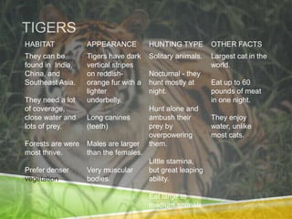 TIGERS
HABITAT            APPEARANCE          HUNTING TYPE        OTHER FACTS
They can be        Tigers have dark    Solitary animals.   Largest cat in the
found in India,    vertical stripes                        world.
China, and         on reddish-         Nocturnal - they
Southeast Asia.    orange fur with a   hunt mostly at      Eat up to 60
                   lighter             night.              pounds of meat
They need a lot    underbelly.                             in one night.
of coverage,                           Hunt alone and
close water and    Long canines        ambush their        They enjoy
lots of prey.      (teeth)             prey by             water, unlike
                                       overpowering        most cats.
Forests are were   Males are larger    them.
most thrive.       than the females.
                                       Little stamina,
Prefer denser      Very muscular       but great leaping
vegetation         bodies.             ability.

                                       Eat large to
                                       medium animals.
 