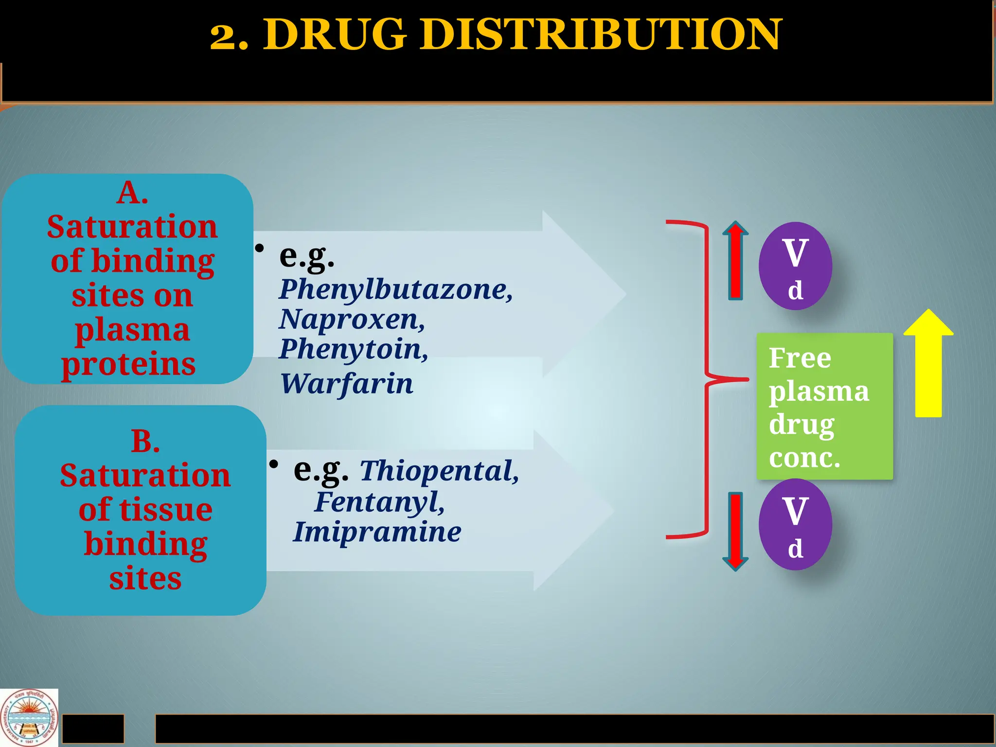 2. DRUG DISTRIBUTION
• e.g.
Phenylbutazone,
Naproxen,
Phenytoin,
Warfarin
A.
Saturation
of binding
sites on
plasma
proteins
• e.g. Thiopental,
Fentanyl,
Imipramine
B.
Saturation
of tissue
binding
sites
Free
plasma
drug
conc.
V
d
V
d
 