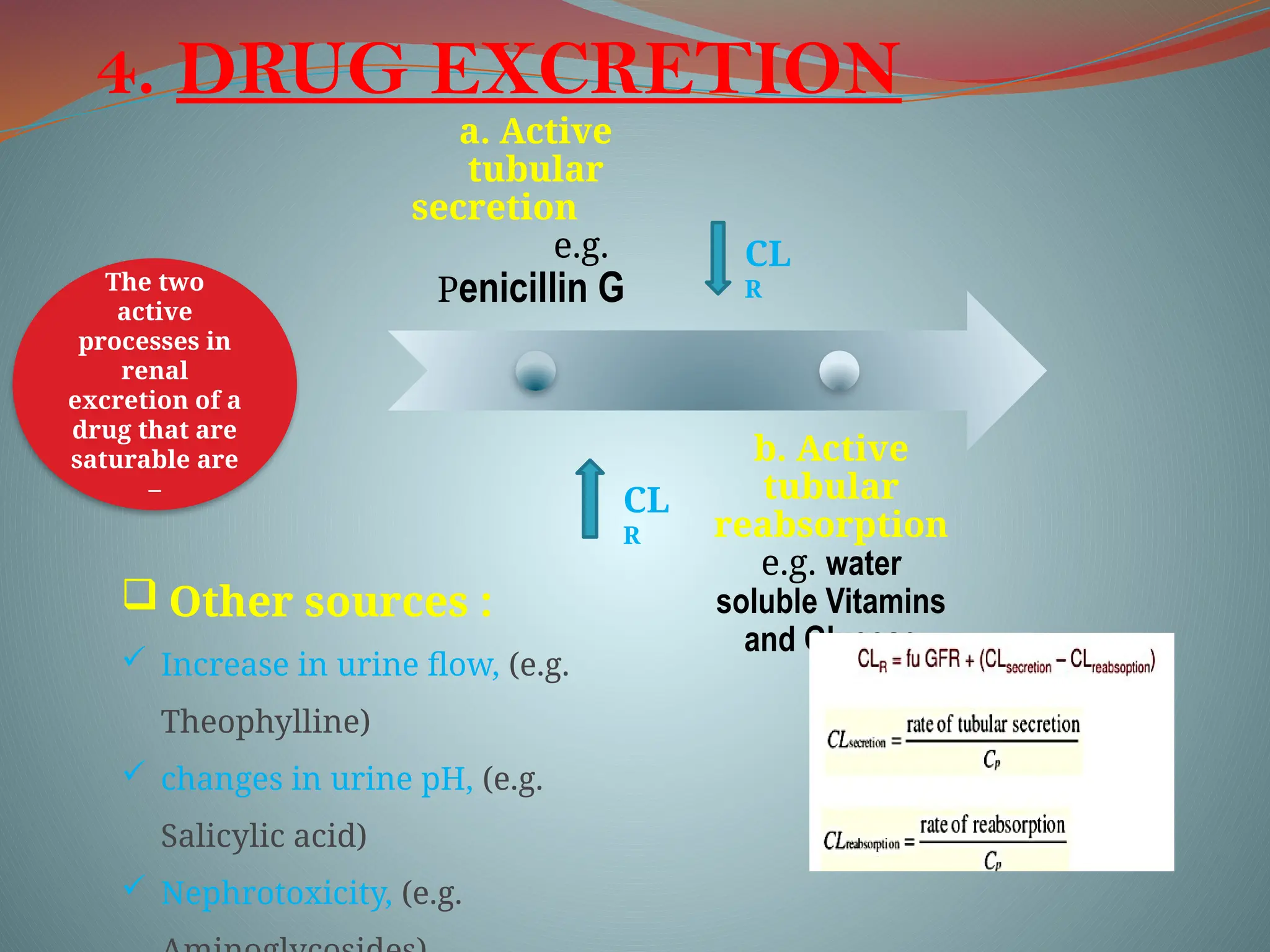 4. DRUG EXCRETION
a. Active
tubular
secretion
e.g.
Penicillin G
b. Active
tubular
reabsorption
e.g. water
soluble Vitamins
and Glucose
The two
active
processes in
renal
excretion of a
drug that are
saturable are
–
CL
R
CL
R
 Other sources :
 Increase in urine flow, (e.g.
Theophylline)
 changes in urine pH, (e.g.
Salicylic acid)
 Nephrotoxicity, (e.g.
 